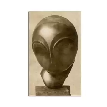 brancusi portretul domnisoarei pogany
