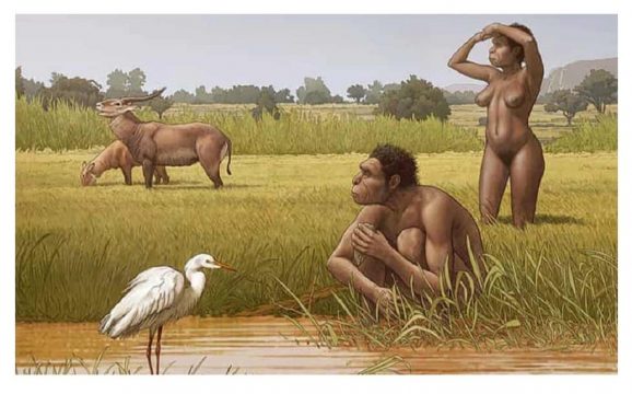 homo bodoensis