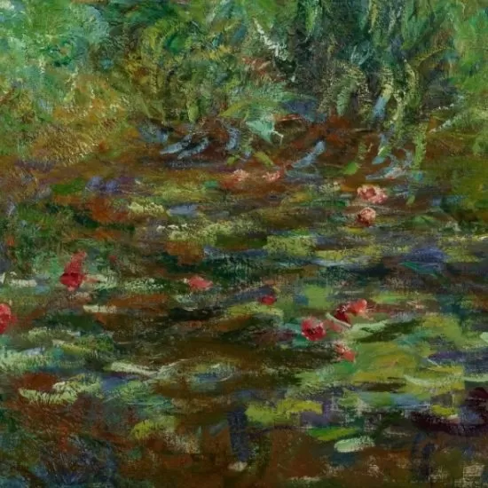 nuferi monet