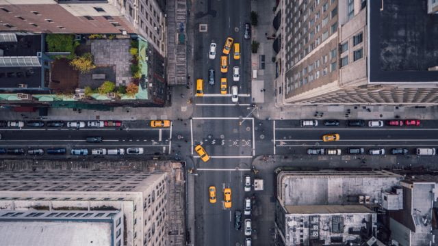 New York, Curatorial