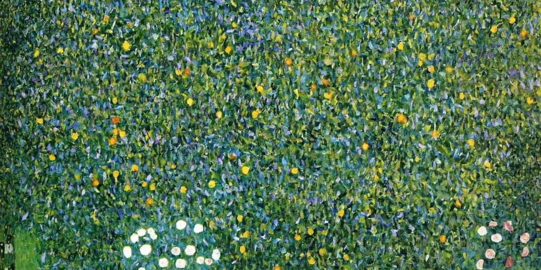 rosiers sous les arbres