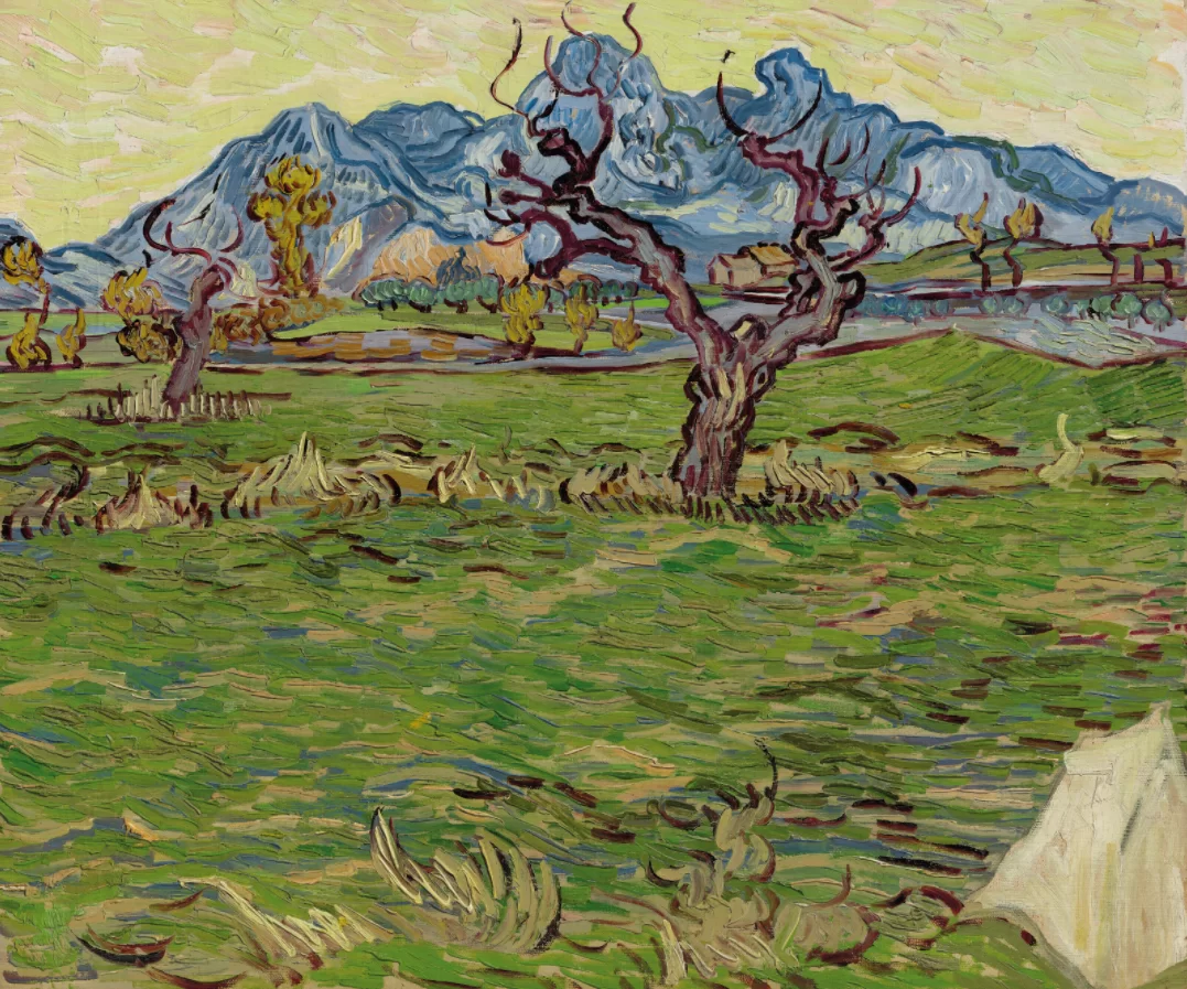 Un tablou pe care Vincent van Gogh l-a pictat în timp ce era internat într-un azil din Franța, licitat în premieră