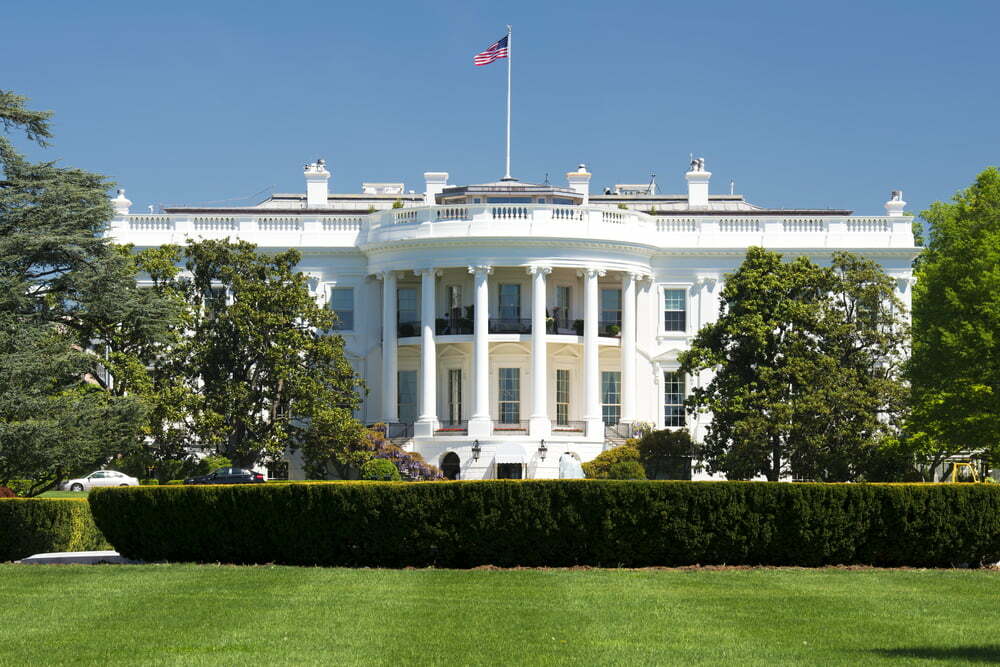 Casa Albă, White House, ilustraţie, Curatorial