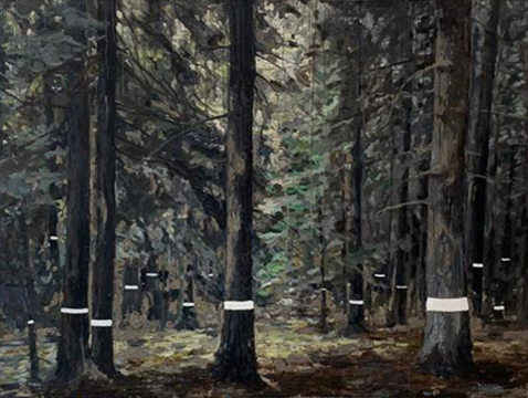 cosmin fruntes 2020 forest