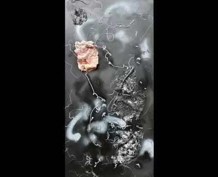 aurelia chiru regenerare