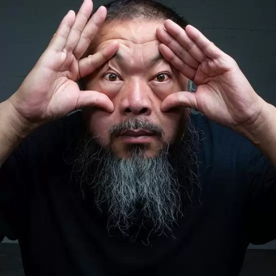 Portret, ai Weiwei, Albertina, Curatorial