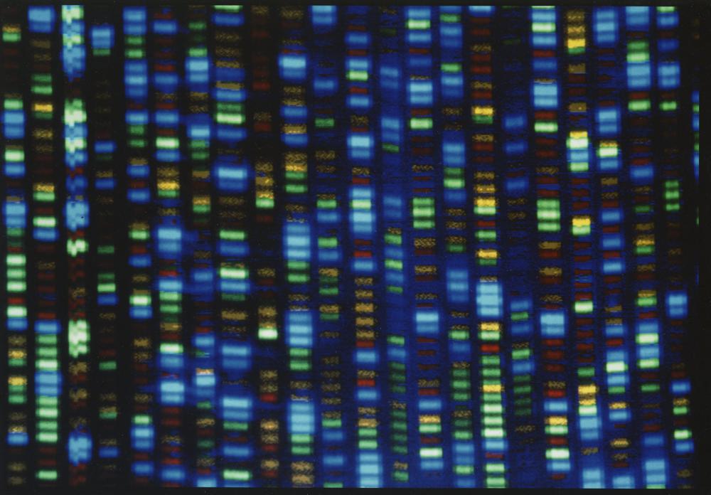 Genomul uman, descifrat integral