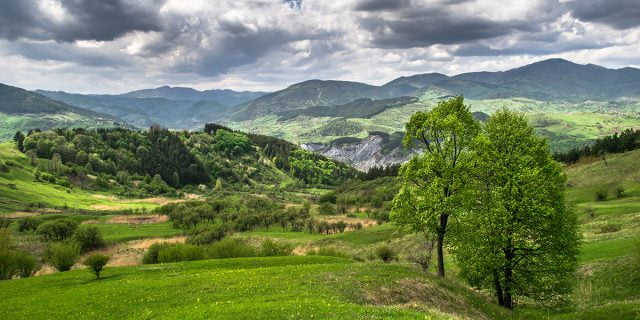 tinutul buzaului