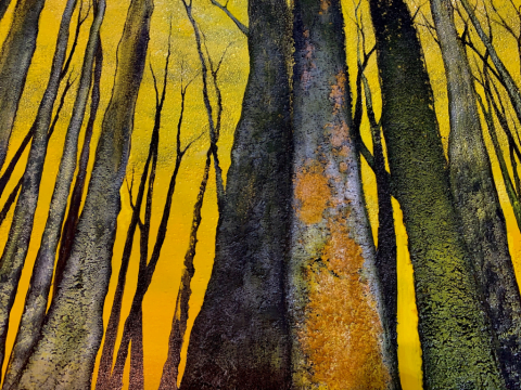 yellow forest