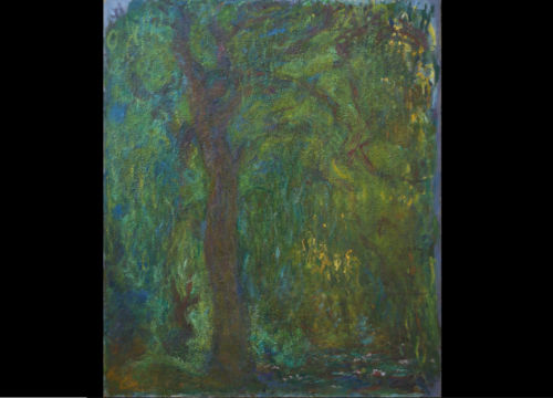 monet, saule pleureur