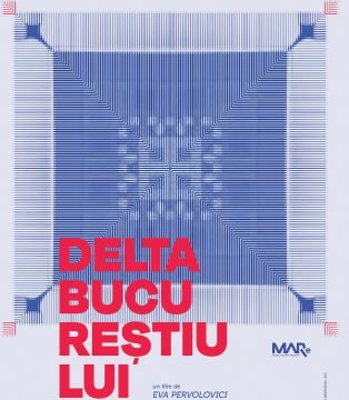 delta bucureștiului afiș mare