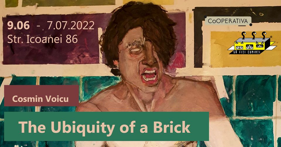 Expoziţia „The Ubiquity of a Brick”, de Cosmin Voicu, la CoOperativa
