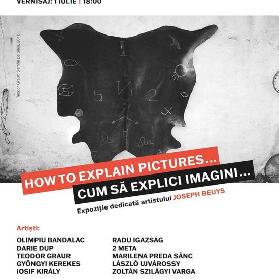 „How to explain pictures … / Cum să explici imagini…” – expoziţie dedicată lui Joseph Beuys, la Muzeul de Artă Cluj Napoca