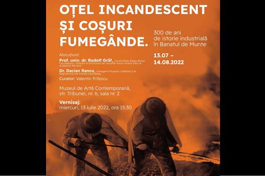 expozitie muzeul de arta contemporana sibiu