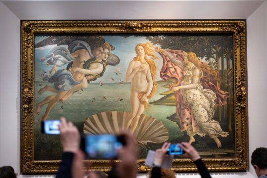 Pictură, Naşterea lui Venus, de Sandro Botticelli în Galeriile Uffizi, Curatorial