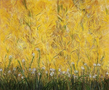 svetlana mihailescu, expozitie, curatorial