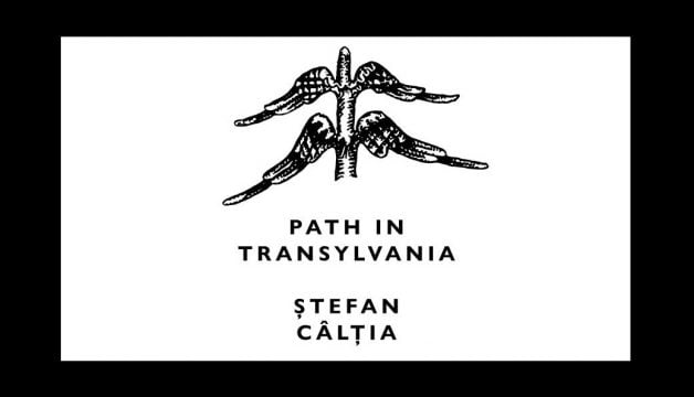 stefan caltia, expo, curatorial