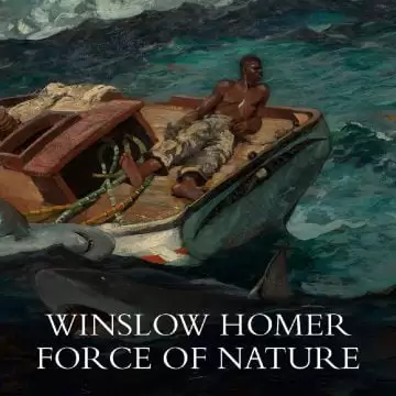winslow homer national gallery london