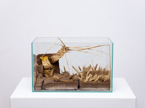 1 gaep stanca soare are paved 2022