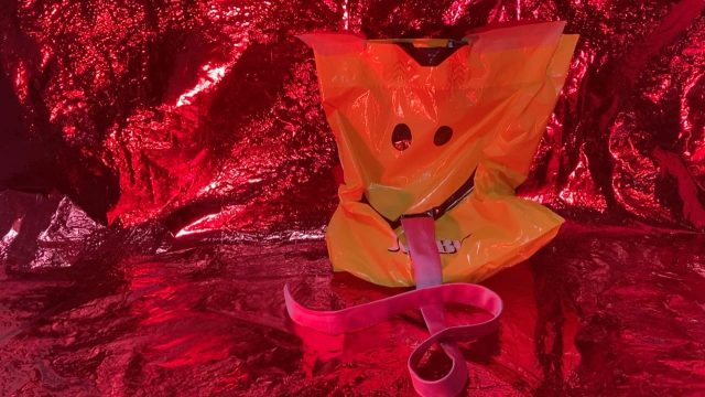 anaÏs touchot, expozitie, curatorial