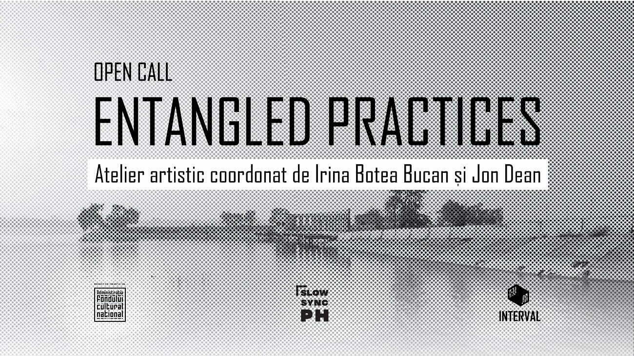 „Entangled Practices”, atelier de artă contemporană pentru studenți și tineri artiști