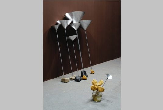 kazuki oishi