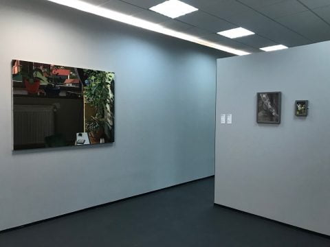 mihai muresan, art safari 10, curatorial