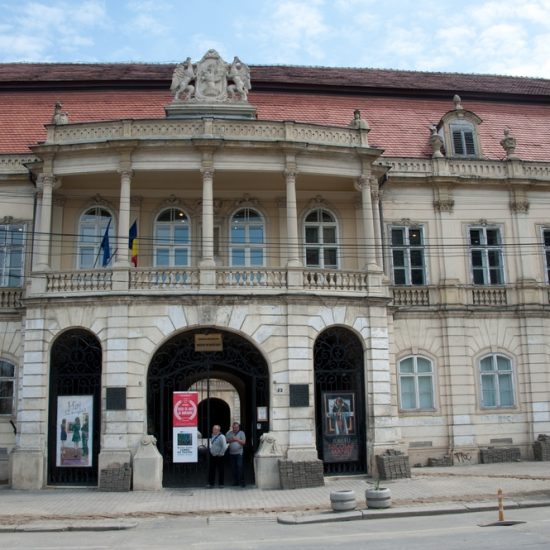 Muzeul de Artă Cluj-Napoca, ilustraţie, Curatorial