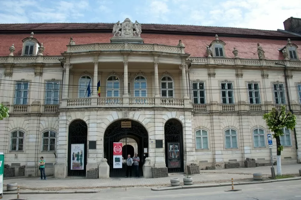 Muzeul de Artă Cluj-Napoca, ilustraţie, Curatorial