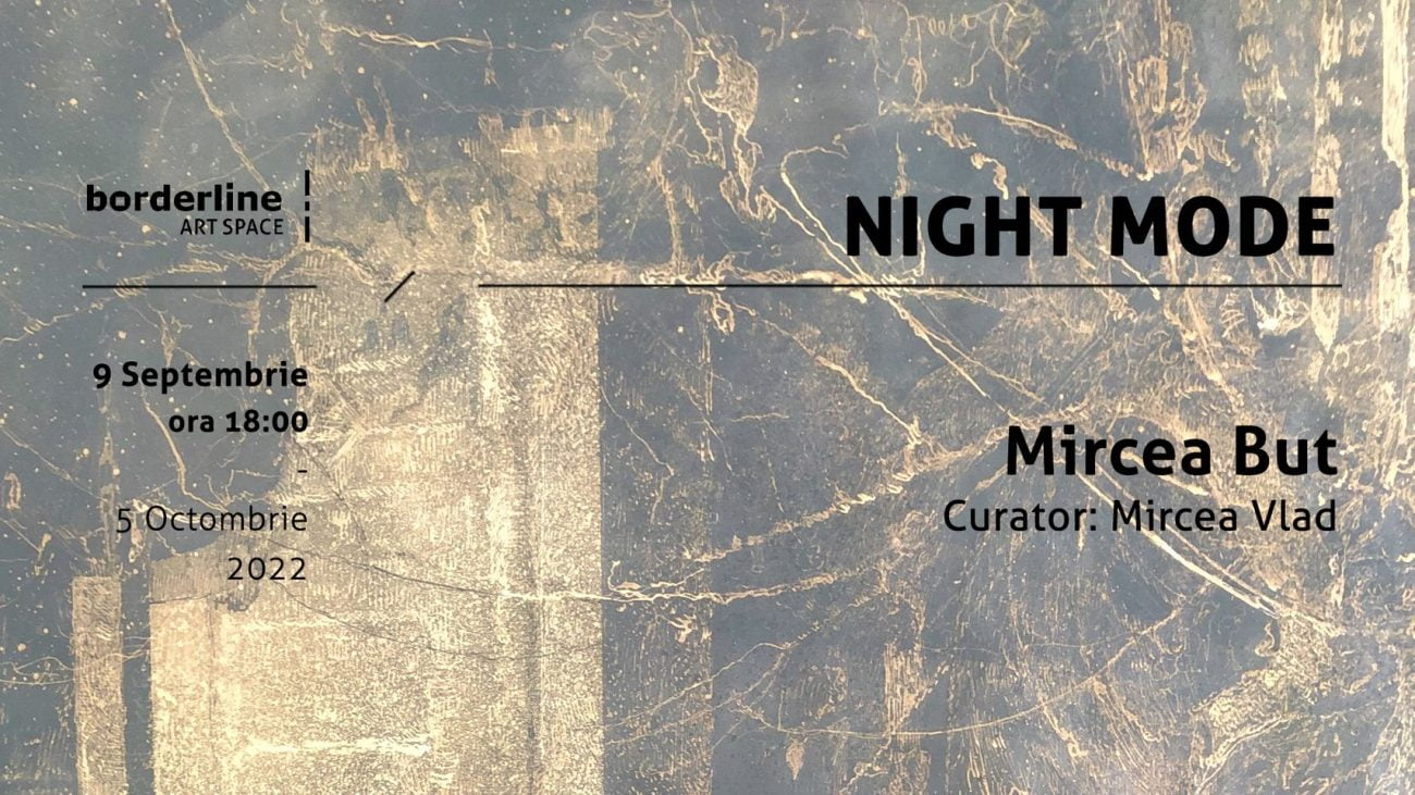 Afiş, expoziţie Night Mode, Mircea But, Curatorial