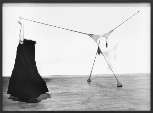 r s v p photo, ken peterson, 2022 senga nengudi, courtesy of sprÜth magers and thomas erben gallery, new york