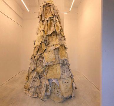 vasile muresan murivale, cazul 101, curatorial