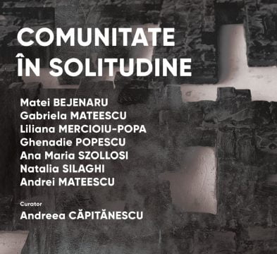 comunitate in solitudine, art encounters, curatorial