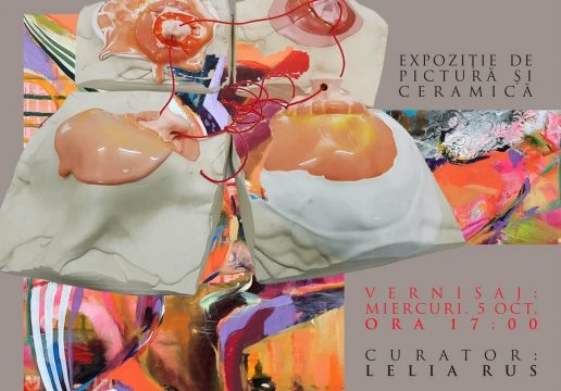 epanorthosis, expozitie, constanta, curatorial