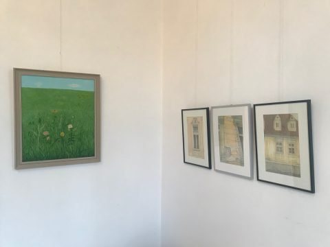 urme, svetlana mihailescu, curatorial