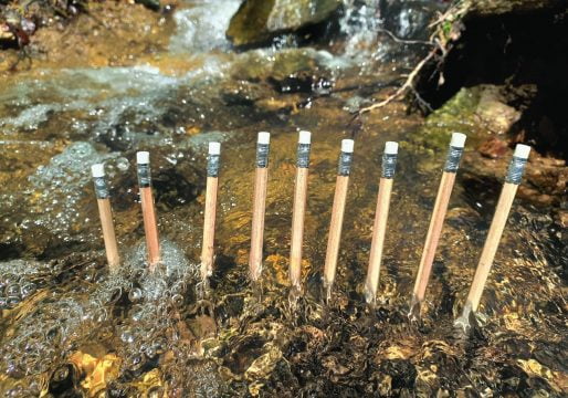 camilia filipov, expozitie, lutnita