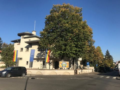 muzeul zambaccian, curatorial.ro