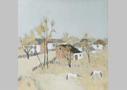 piliuta, sat dobrogean, licitatie, alis, curatorial.ro