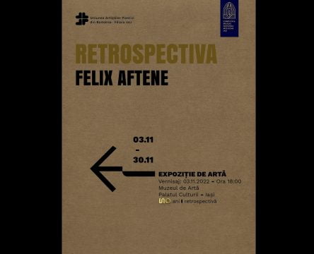 retrospectiva felix aftene, iasi, curatorial.ro
