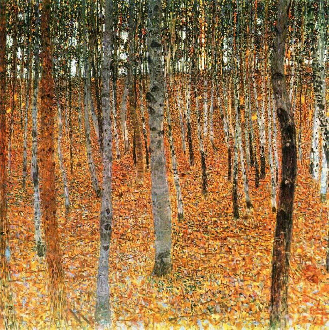 the birch wood” (1902) gustav klimt
