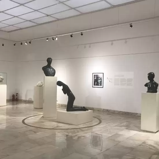 brancusi, mnar, curatorial.ro