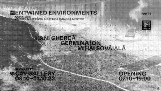 entwined environments, expo, curatorial.ro