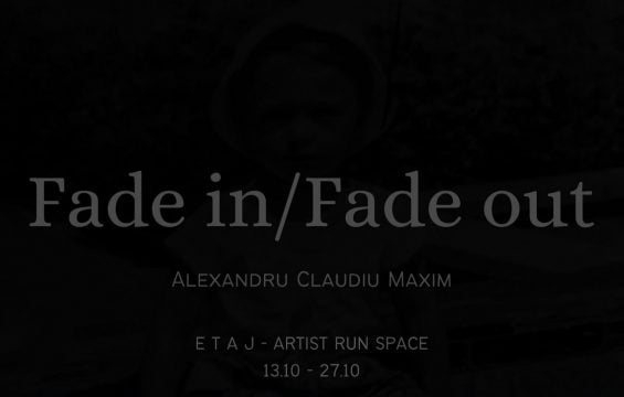 maxim, expo, curatorial.ro