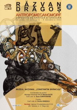 muzeul national constantin brancusi