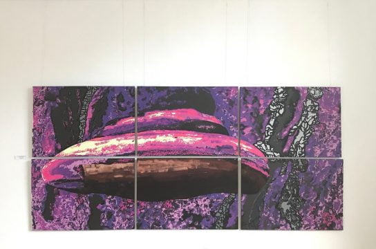 pictura digi pictura 1, galeria romana, curatorial