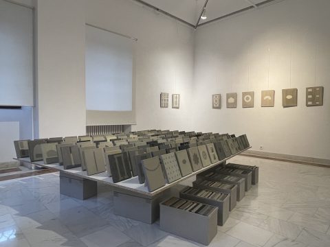 ion isaila, incognito, foto cristina simion