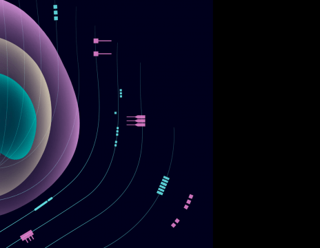 nova grow, bursa, festival, curatorial.ro