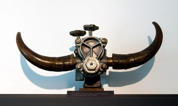 regele, obiect steampunk realizat de poetul traian t. coșovei, colecția muzeului național al literaturii române bucureșt