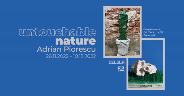adi piorescu, expozitie, curatorial.ro