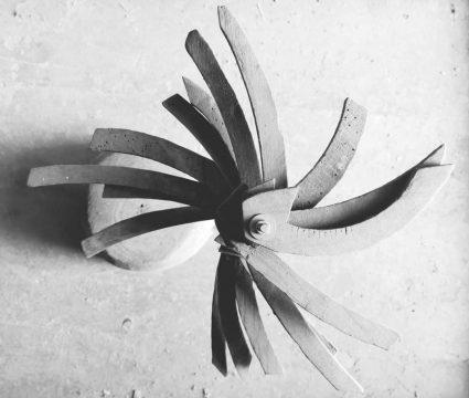 etnoscuptura, mihai donici